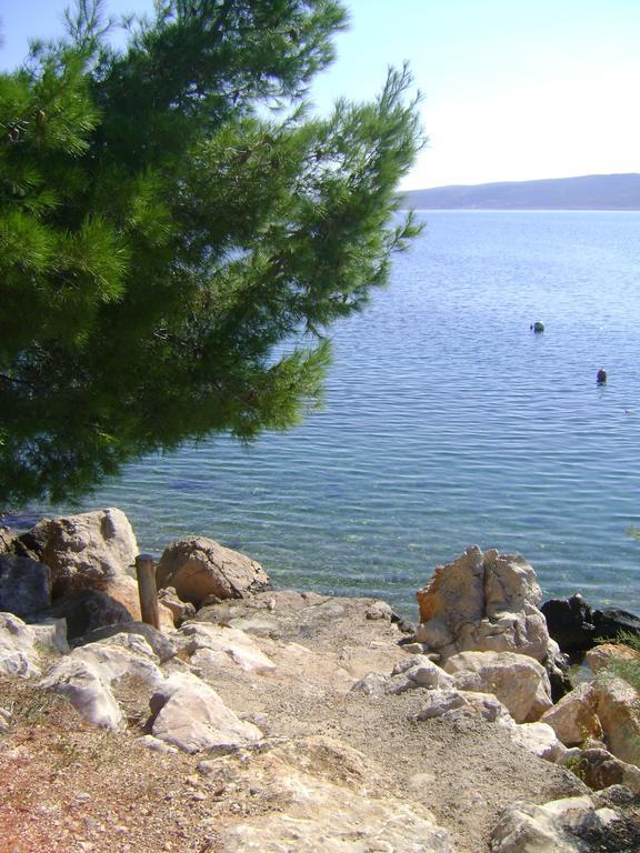 Apartments Ivanka Starigrad Paklenica Oda fotoğraf